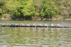 MV8 Heat6